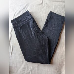 J Jill Velvety Blue/Gray Pants